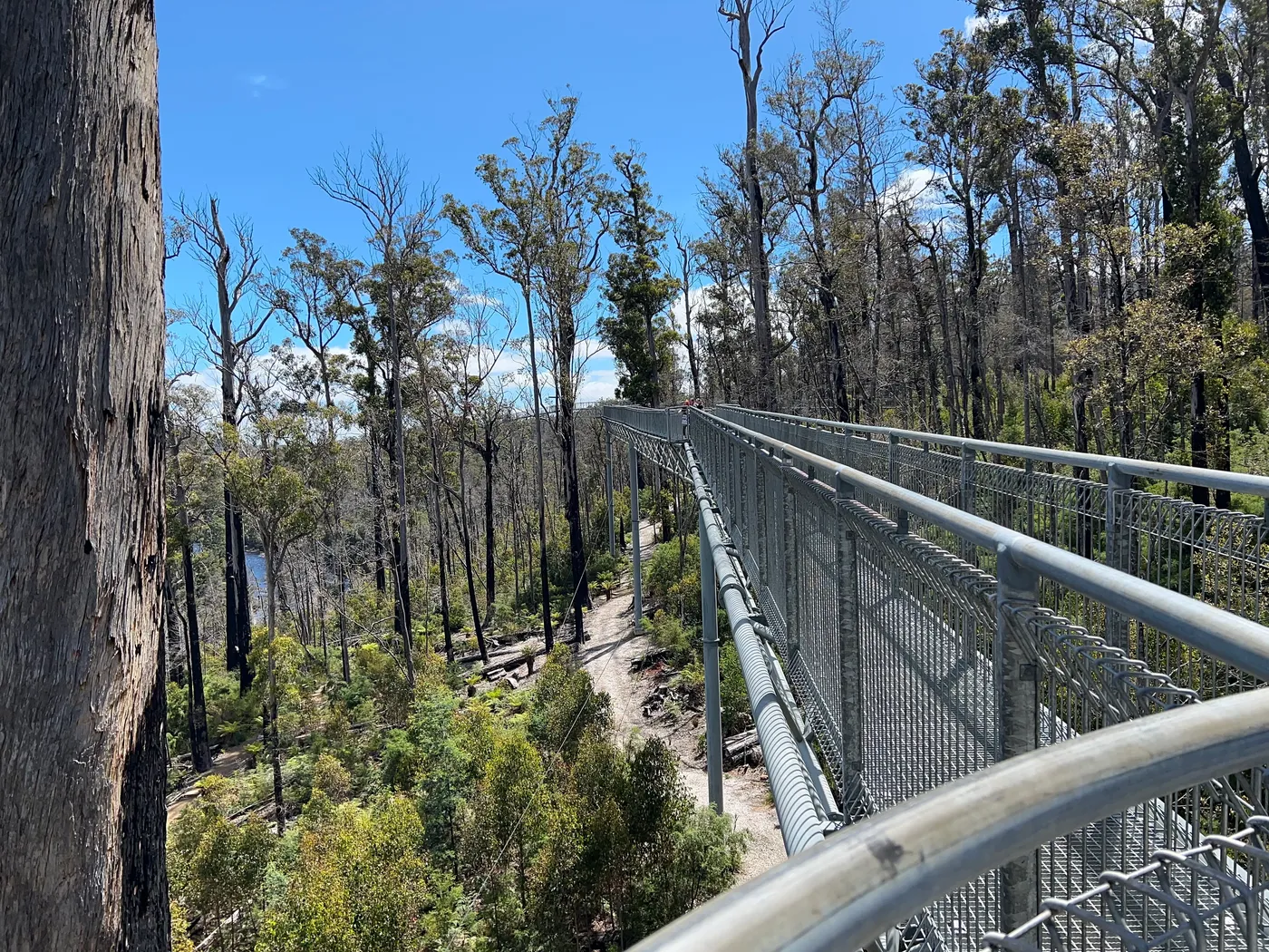 Tahune Airwalk