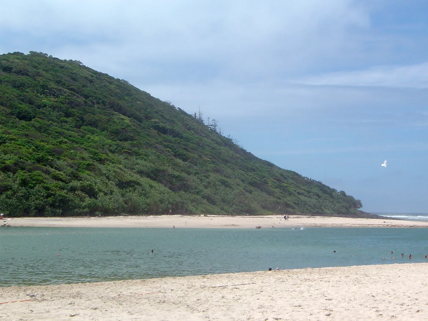 Tallebudgera Creek