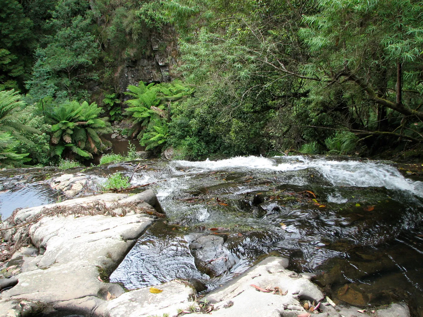 Tarra Falls