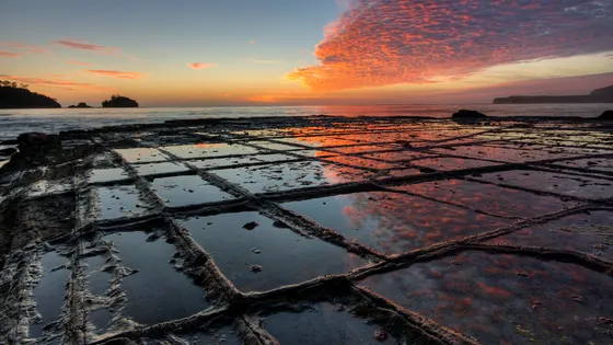 Tessellated Pavement