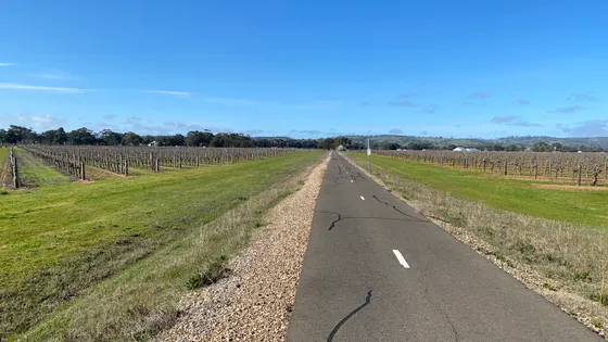 The Barossa Trail