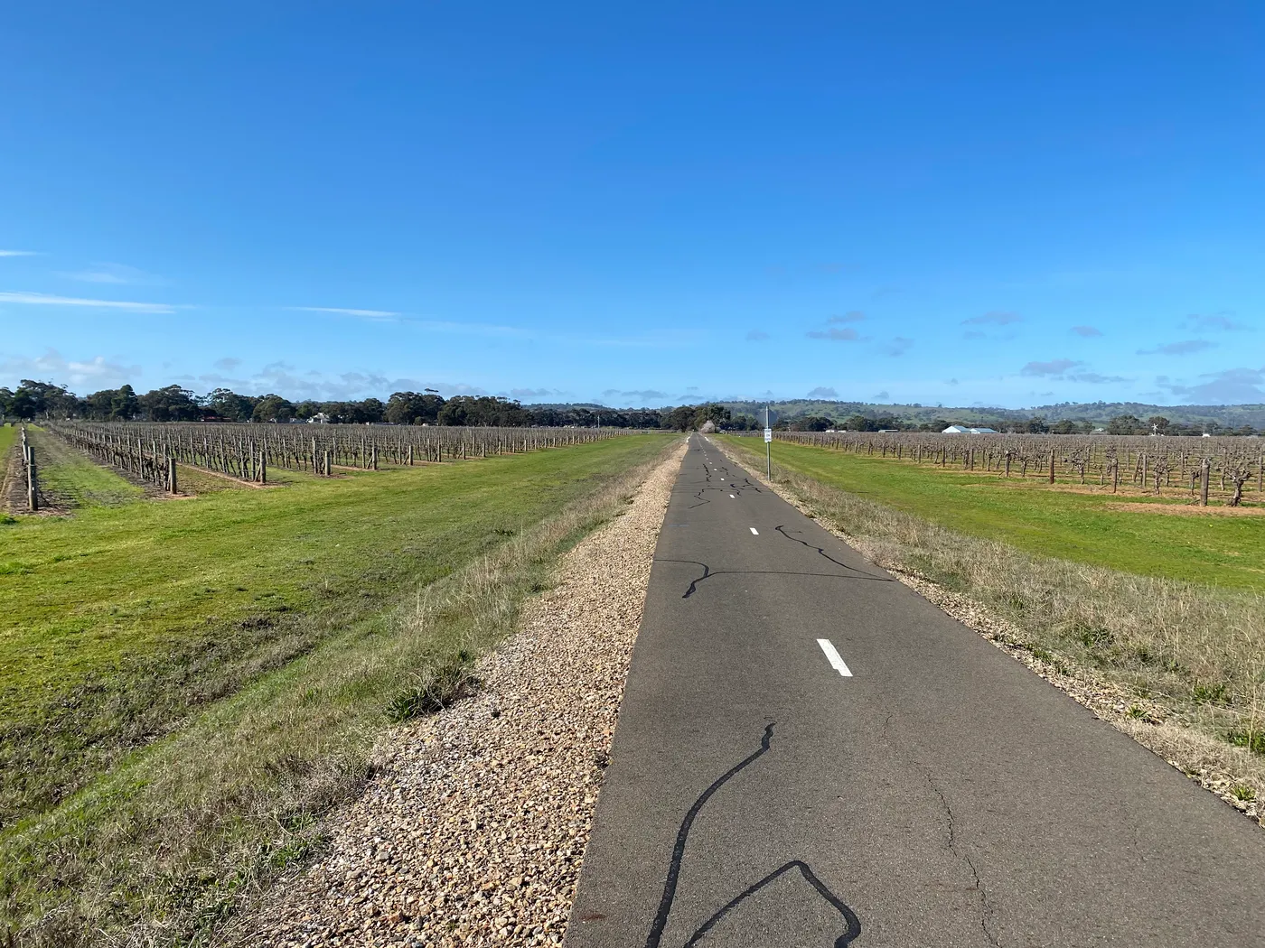 The Barossa Trail