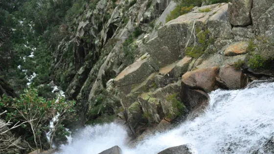 The Gorge