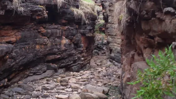 The Narrows Hike, Alligator Gorge