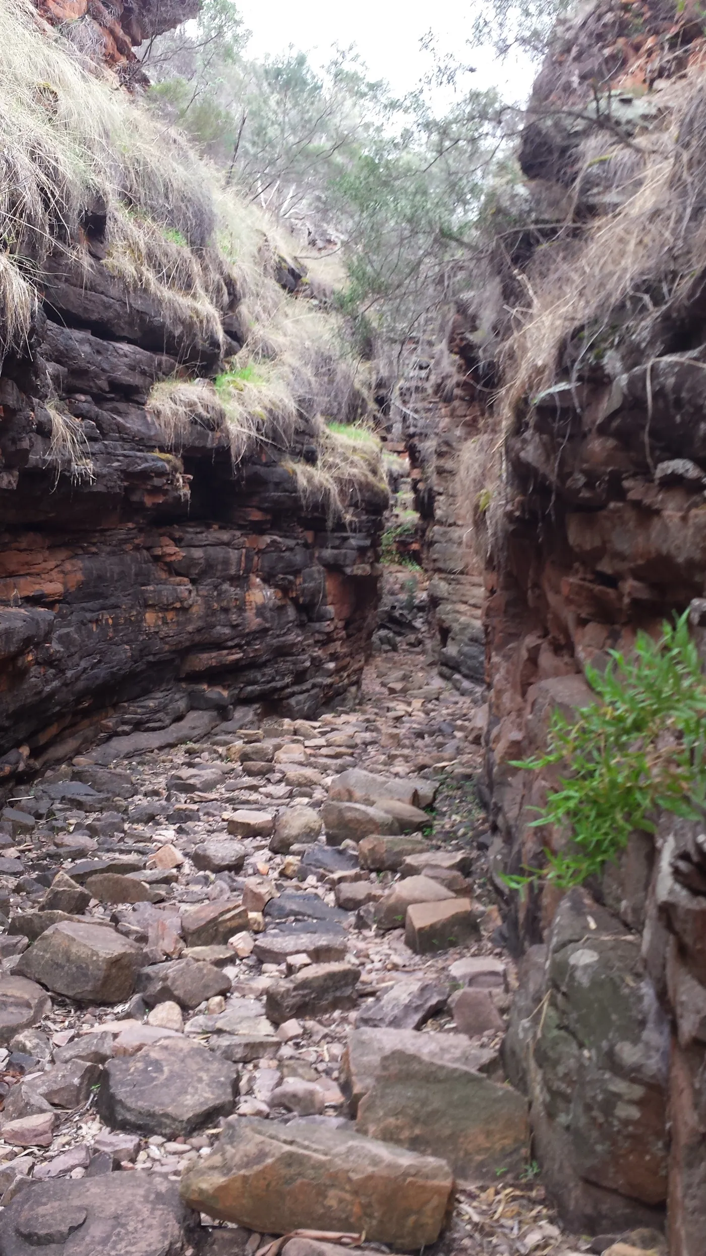 The Narrows Hike, Alligator Gorge