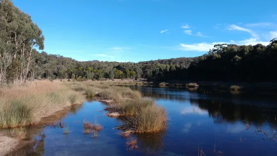 Thirlmere Lakes walking track