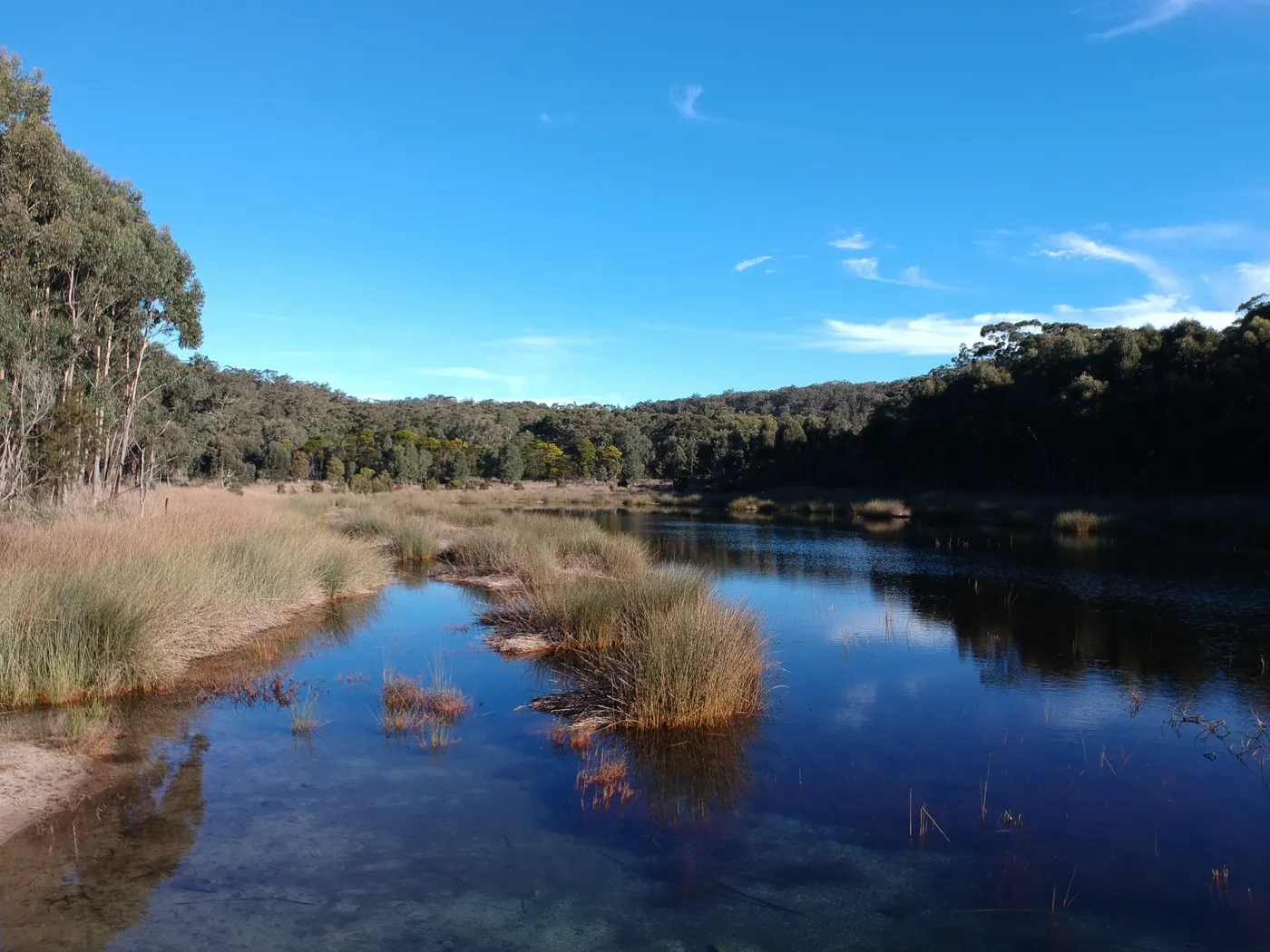 Thirlmere Lakes walking track