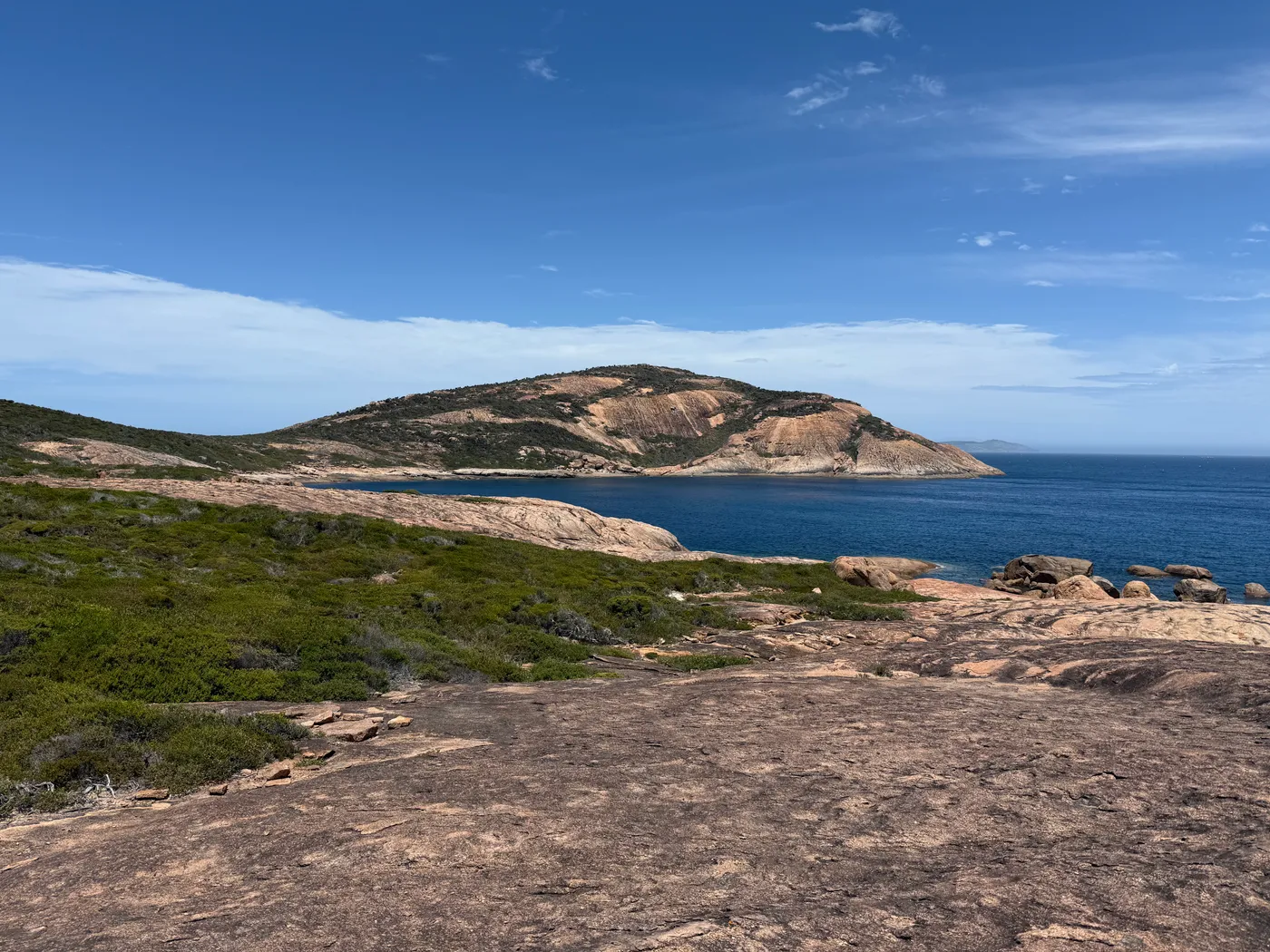 Thistle Cove