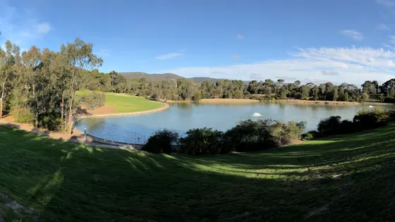 Thorndon Park