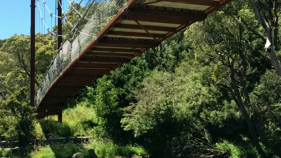 Thredbo Valley Track