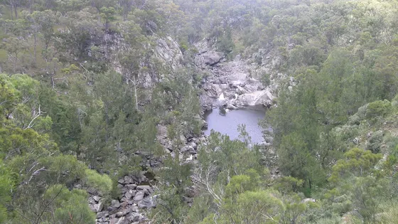 Threlfall walking track