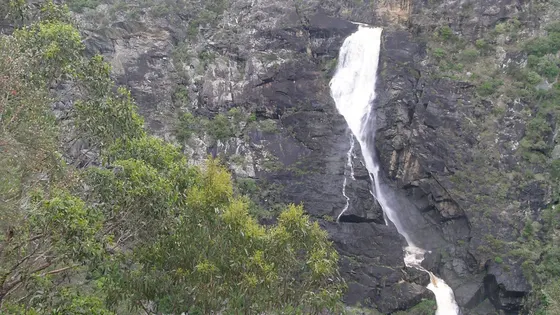Tia Falls Walk