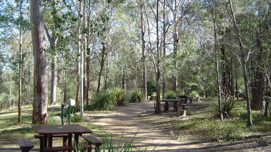 Tingalpa Creek Circuit