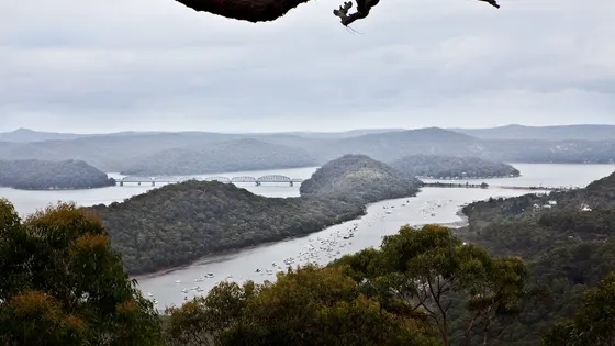 Tipper Lookout