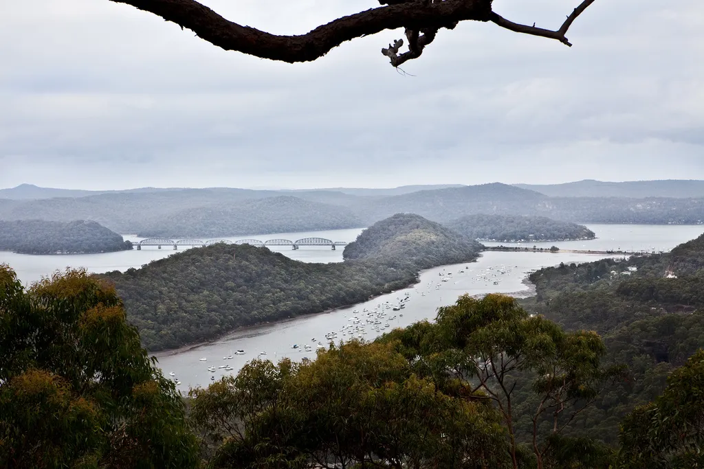 Tipper Lookout