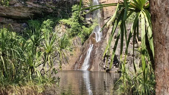 Tjaynera Falls (Sandy Creek Falls)