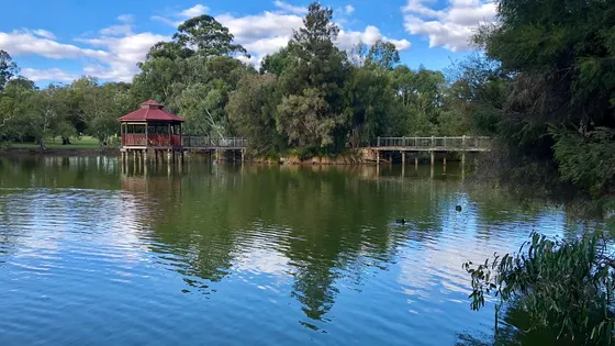 Tomato Lake