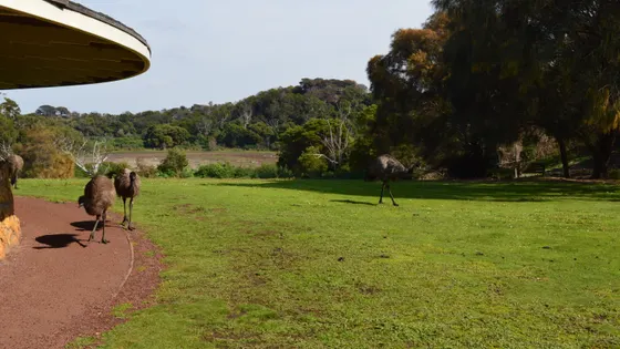 Tower Hill Wildlife Reserve