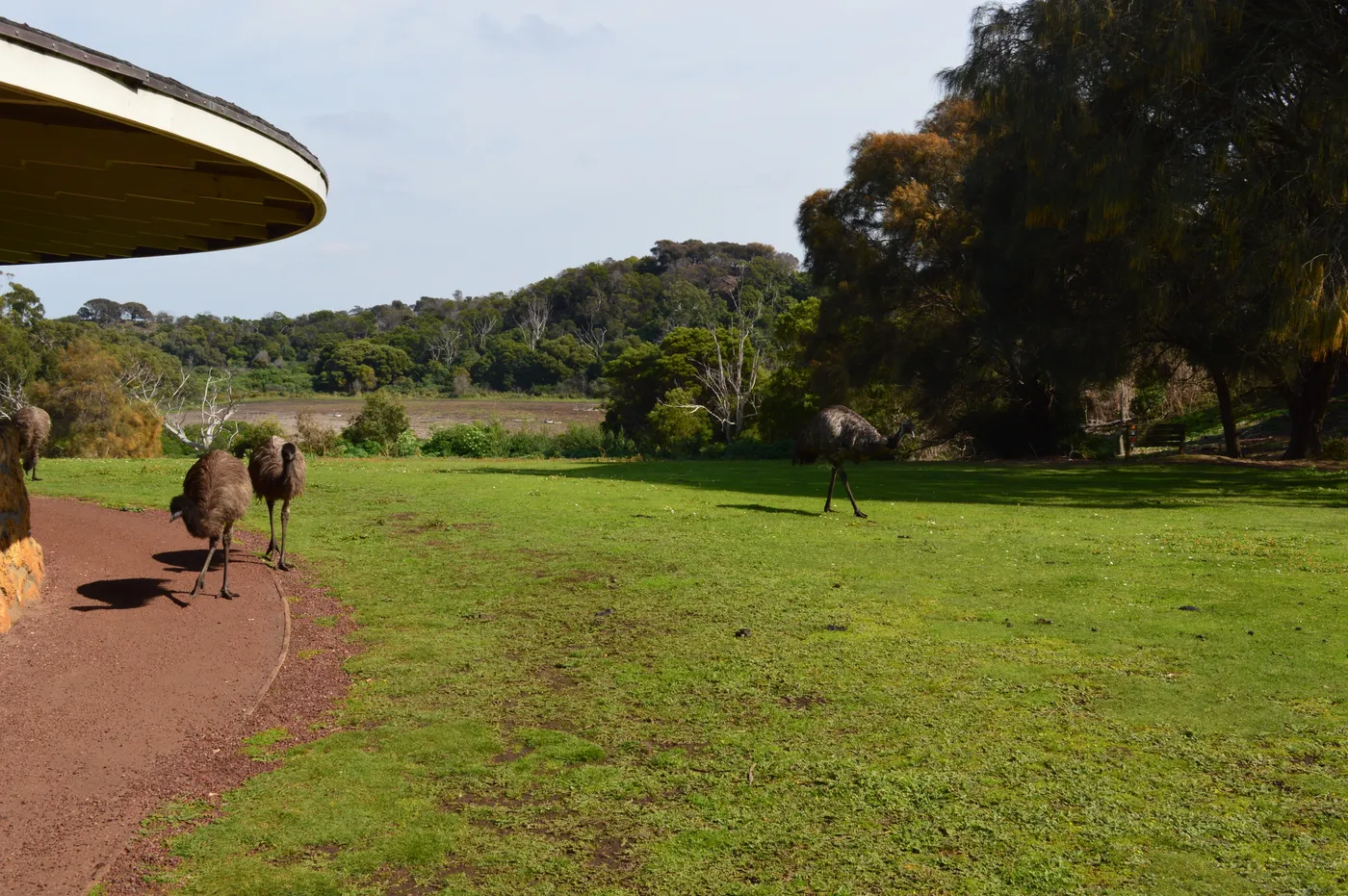 Tower Hill Wildlife Reserve