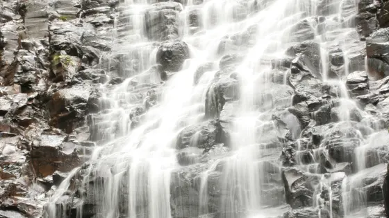 Tristania Falls