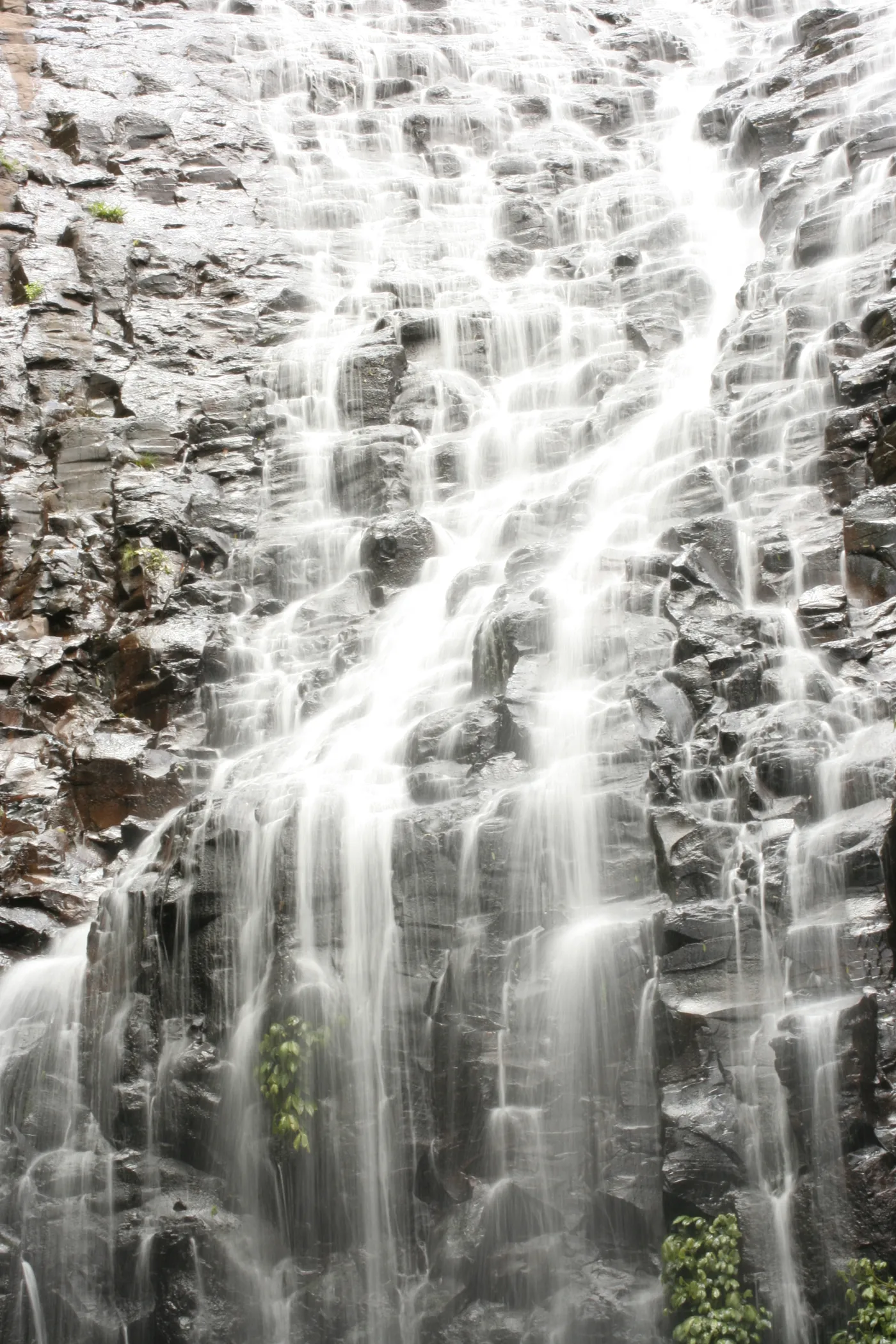 Tristania Falls