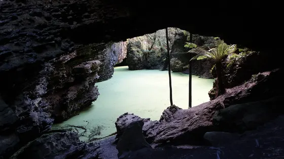 Trowutta Arch