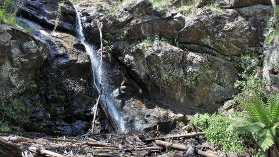 Turitable Falls
