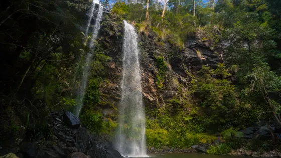 Twin Falls circuit