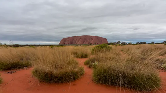 Uluru Lookout