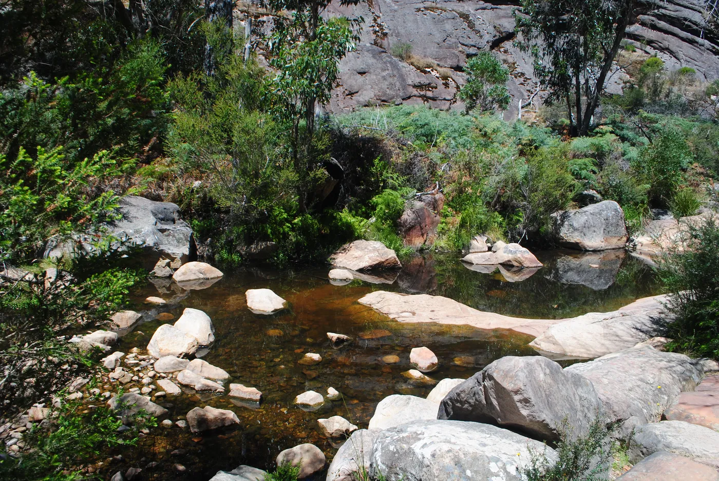 Venus Baths