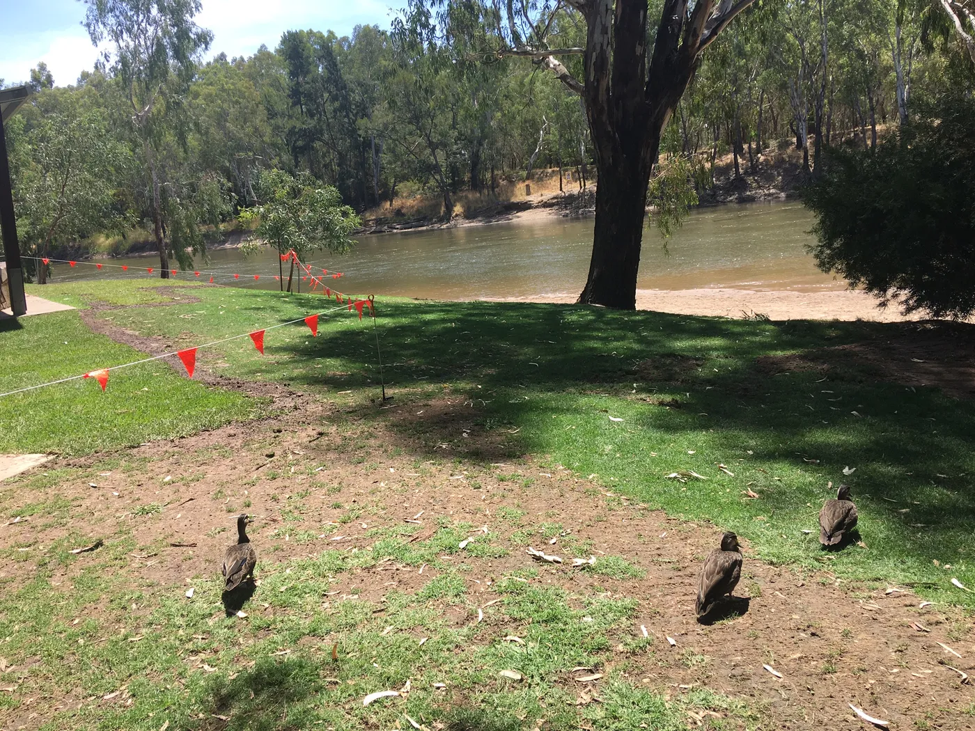 Wagga Beach