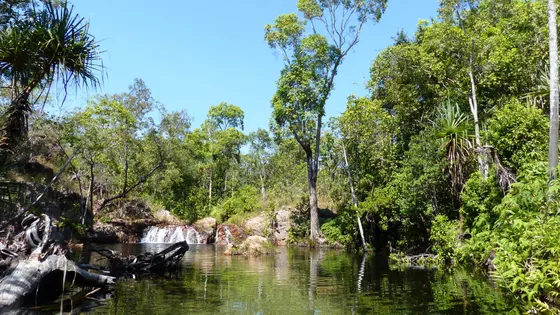 Walker Creek