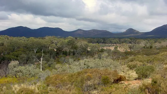Wangara Lookout Hike