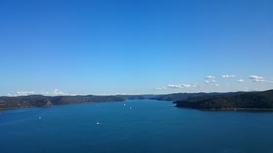 Warrah Lookout