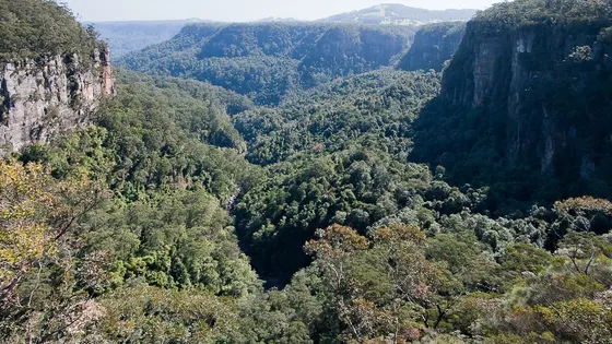 Warris Chair Lookout