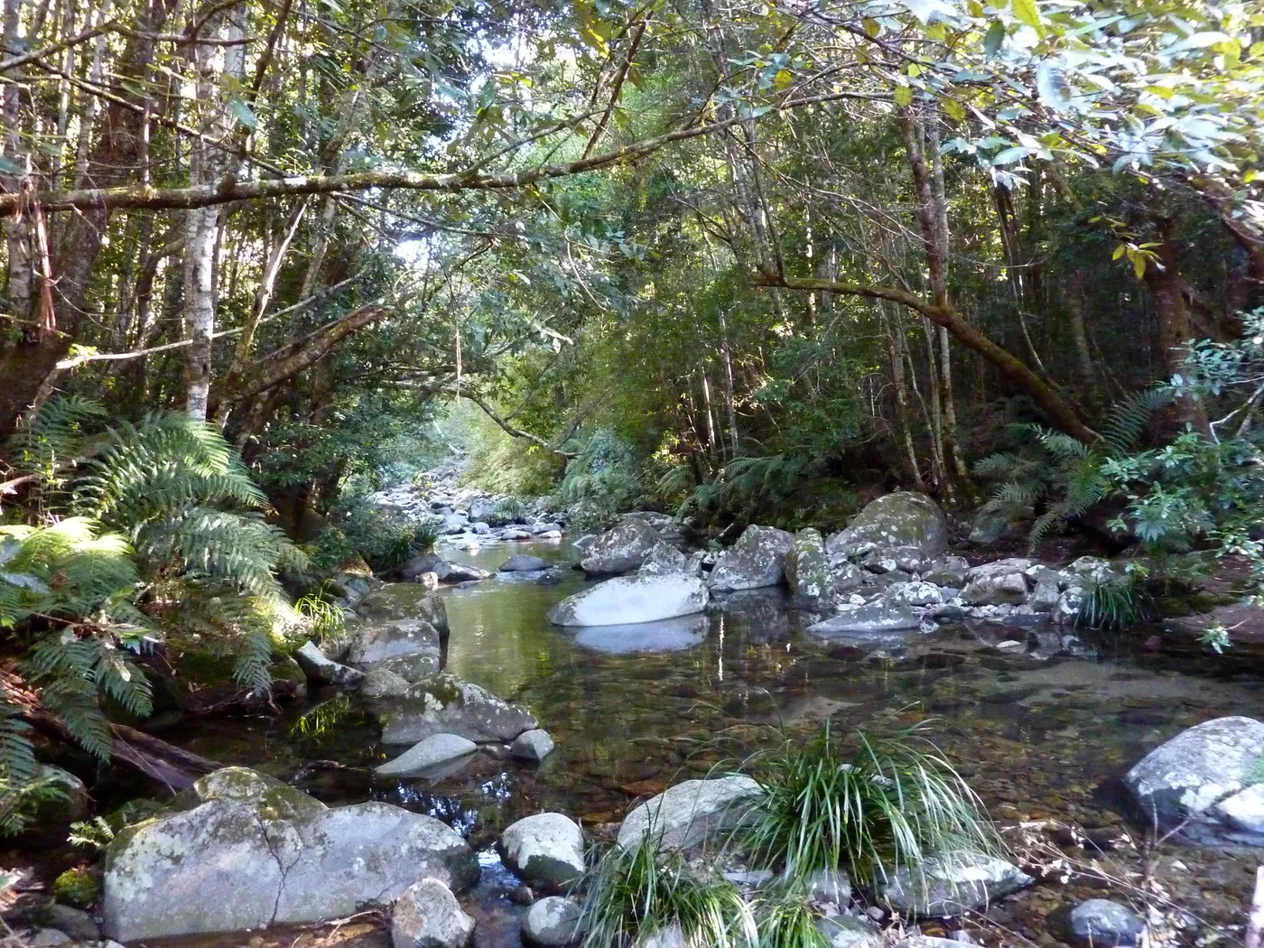 Washpool Walk