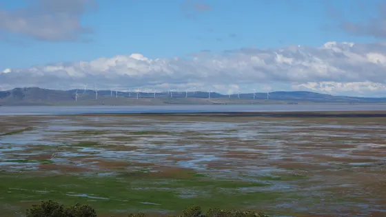 Weereewa Lookout