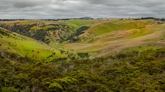 Werribee Gorge Circuit Walk