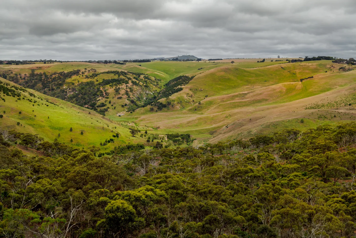 Werribee Gorge Circuit Walk