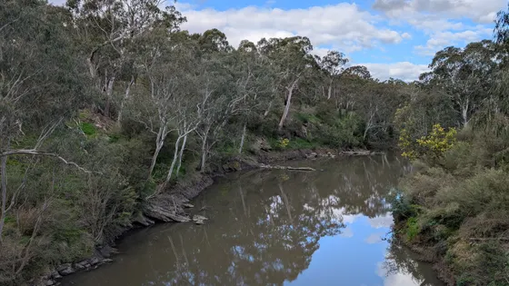 Westerfolds Park