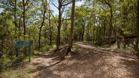 Whites Hill Reserve
