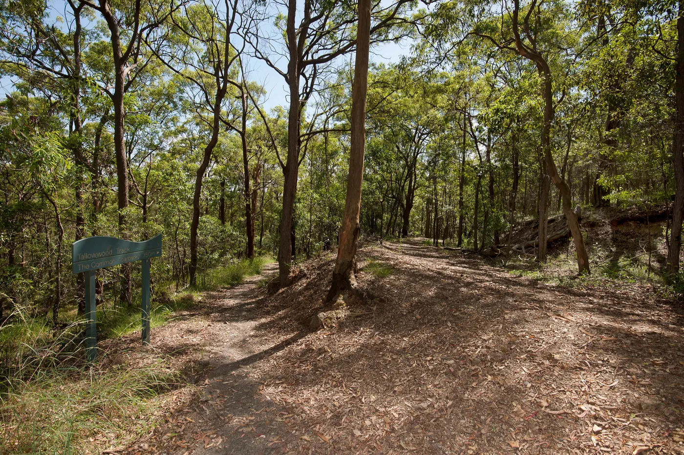 Whites Hill Reserve