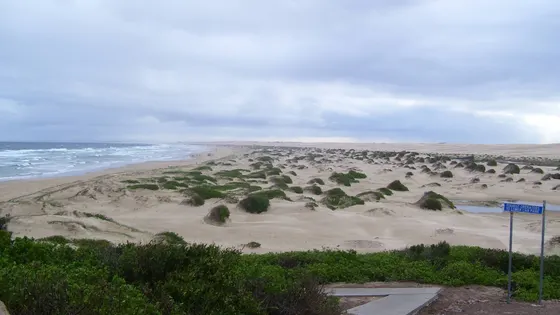 Worimi Conservation Lands Lookout