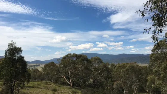 Yankee Hat trail