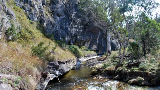 Yarrangobilly River walk