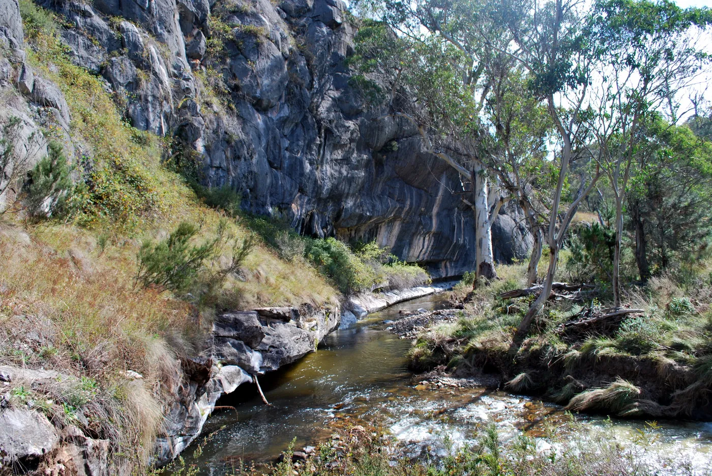 Yarrangobilly River walk