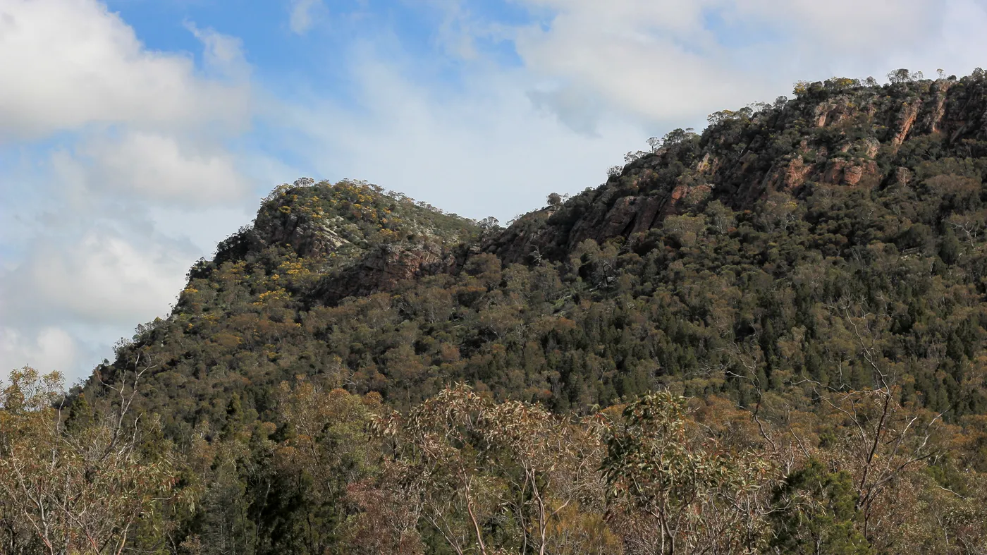 Yerong walking track