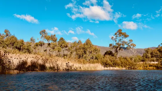 Tidbinbilla Nature Reserve