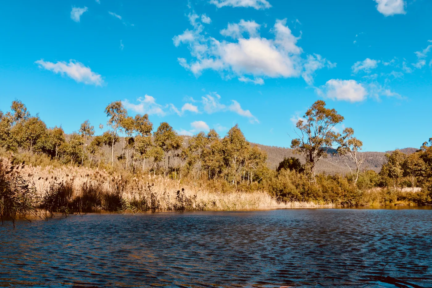 Tidbinbilla Nature Reserve