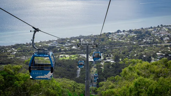 Arthurs Seat Eagle